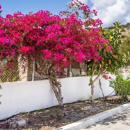 Kokonaki Appartement *