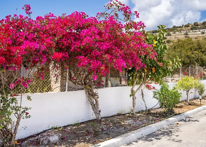 Kokonaki Apartmán *